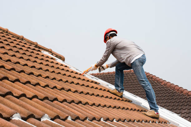 Trusted Ama, LA Roofing services Experts